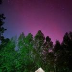 The Owl's Altered Estate