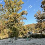 Santa Fe Springs Rv Park