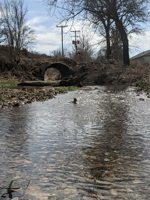 Spring Branch Park 2