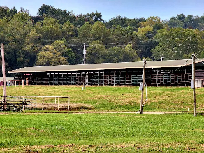 4-J Big Piney Horse Camp 6