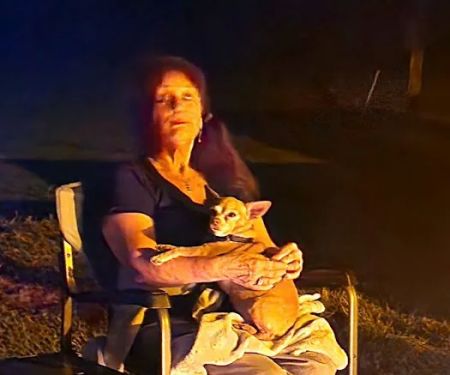 4-J Big Piney Horse Camp