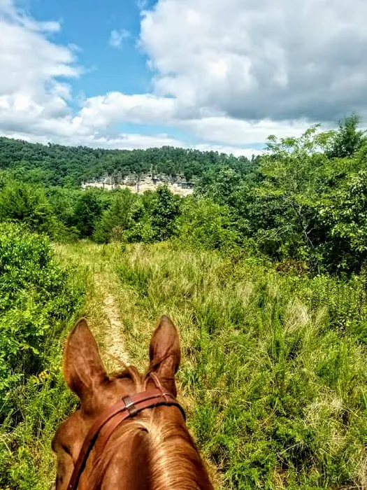 4-J Big Piney Horse Camp 5