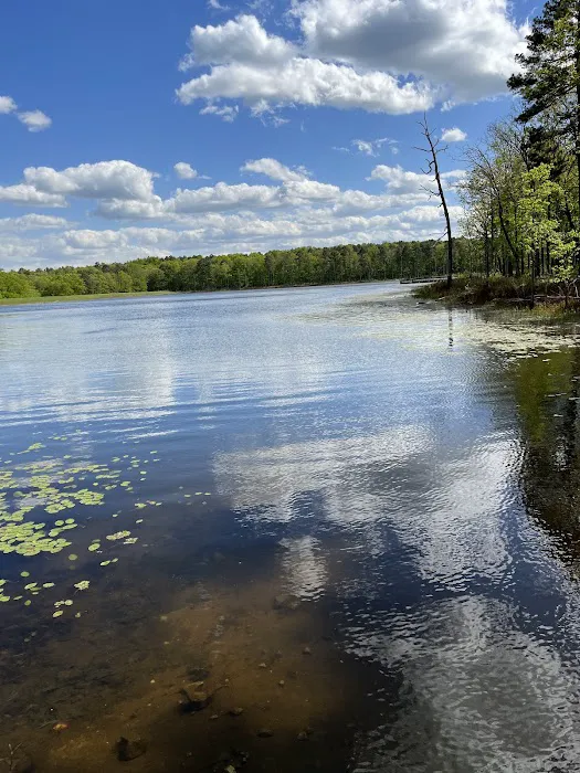 Pinewoods Lake Recreation Area 2