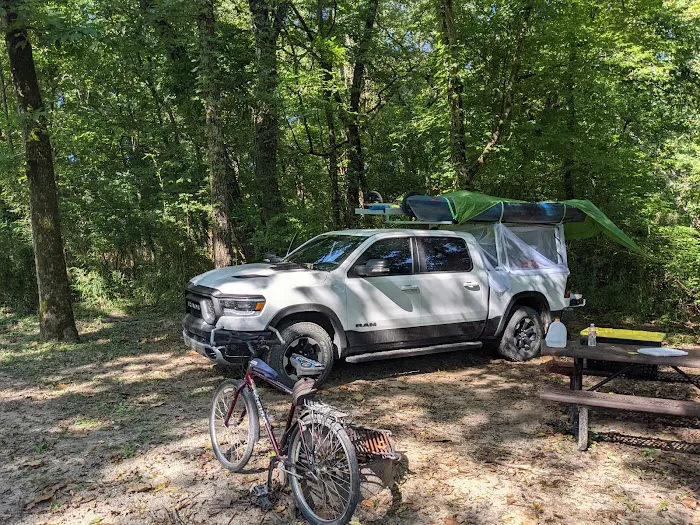 Big Tree Campground 8