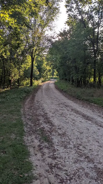 Big Tree Campground 7