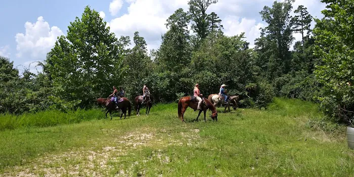 Horseshoe Holler Horse Camp 6
