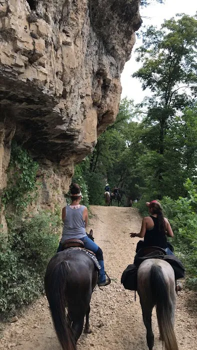 Horseshoe Holler Horse Camp 1