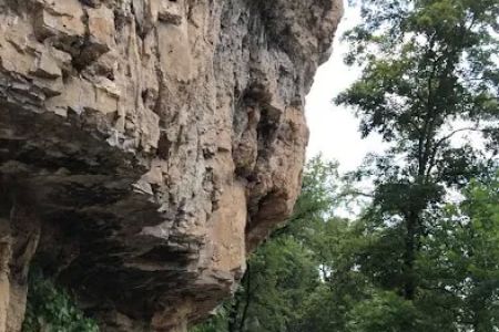 Horseshoe Holler Horse Camp
