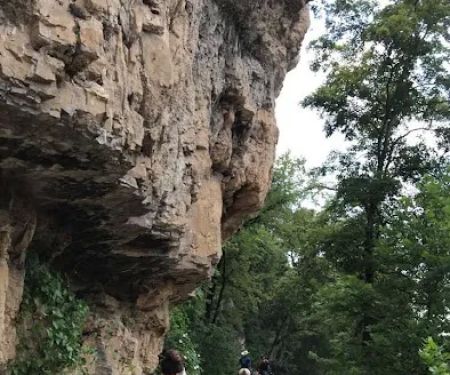 Horseshoe Holler Horse Camp