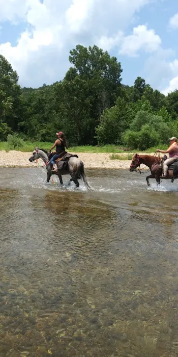 Horseshoe Holler Horse Camp 4