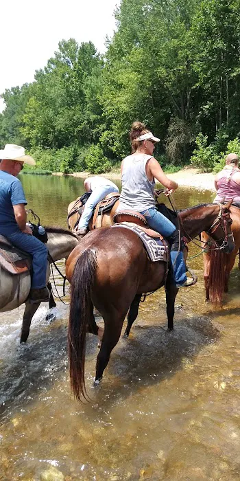 Horseshoe Holler Horse Camp 5