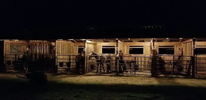 Horseshoe Holler Horse Camp 7