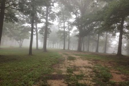 Alley Cat's Campground & RV Park