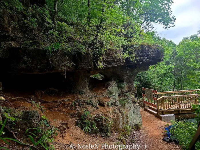 Alley Spring Campground 7