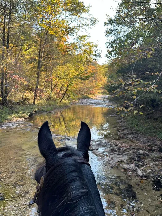 Shawnee Creek Horse Camp 3
