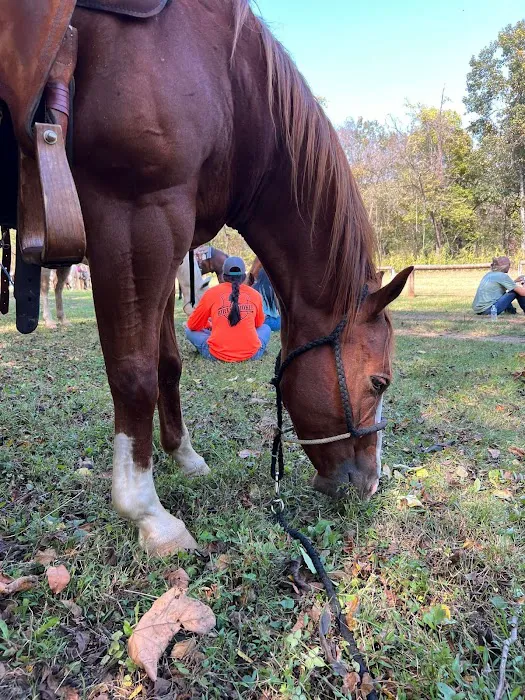Shawnee Creek Horse Camp 6