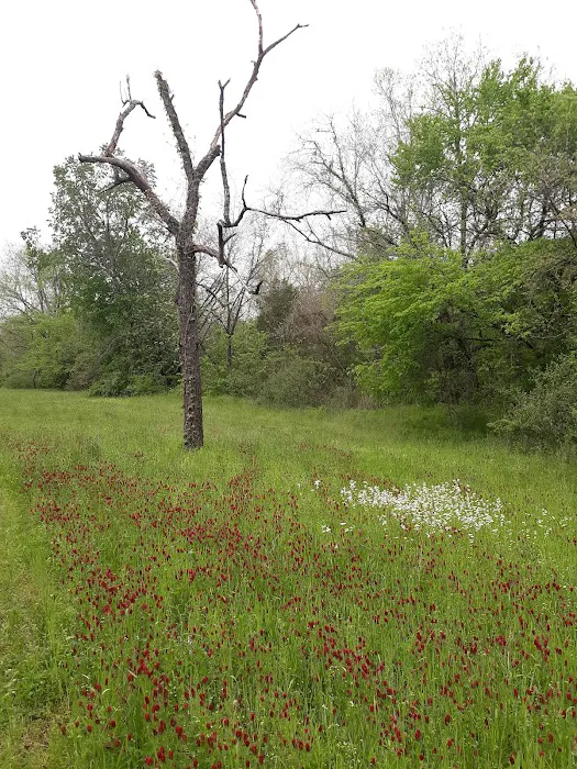 Roberts Field Campground 2