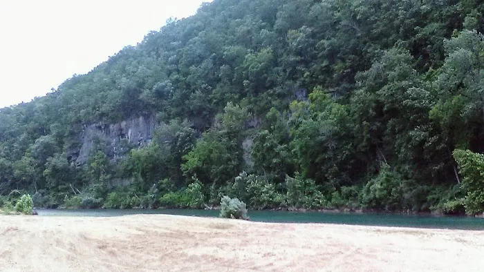 Logyard Campground 6