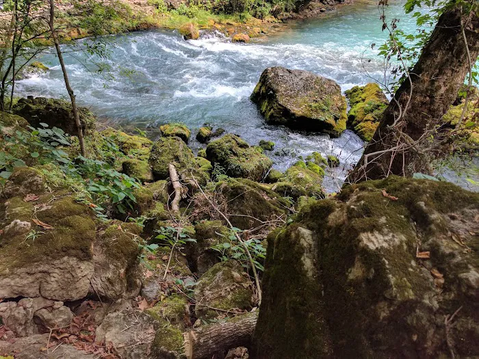 Big Spring River Camp 7