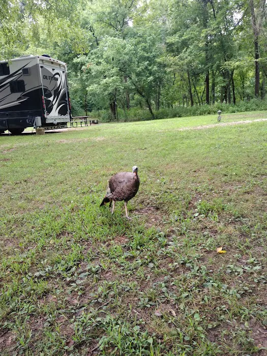 Big Spring Campground 3
