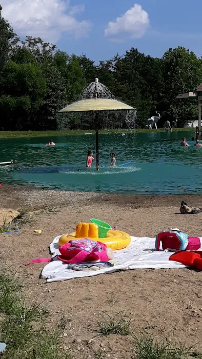 Shady Pines Campgrounds 6