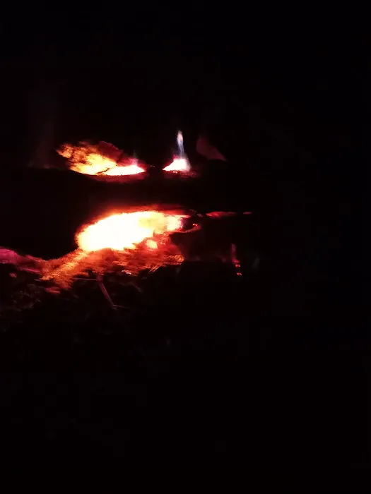 Turtle Bend, Camping and Events 5