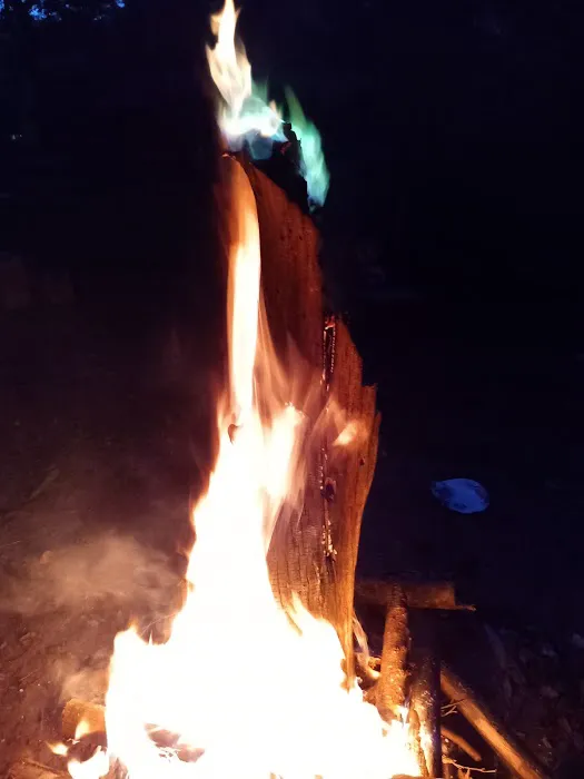 Turtle Bend, Camping and Events 1