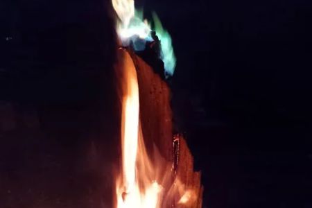 Turtle Bend, Camping and Events