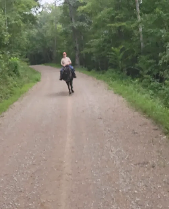 Shawnee State Forest Horse Campground 1