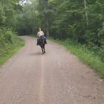 Shawnee State Forest Horse Campground