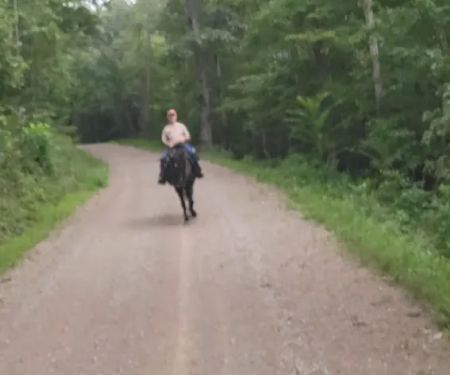 Shawnee State Forest Horse Campground