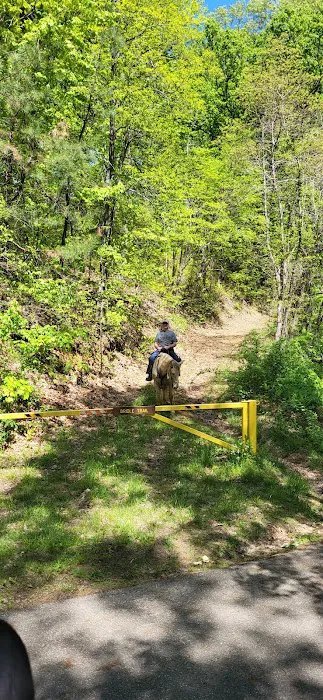 Shawnee State Forest Horse Campground 2
