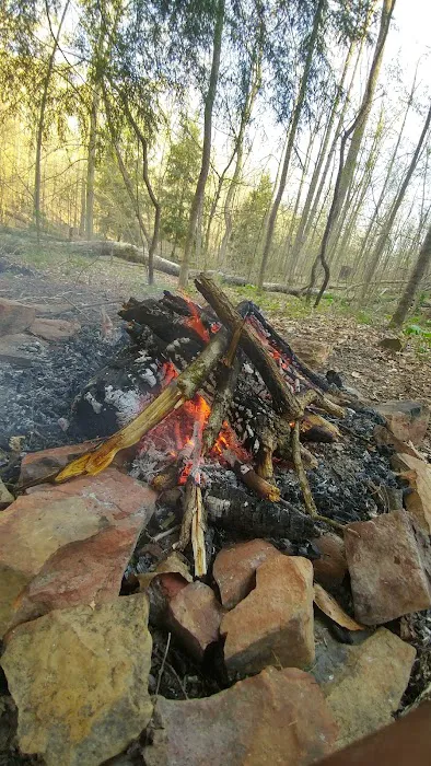 Shawnee Backpacking Camp 1 1