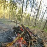 Shawnee Backpacking Camp 1