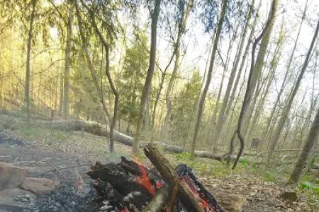 Shawnee Backpacking Camp 1
