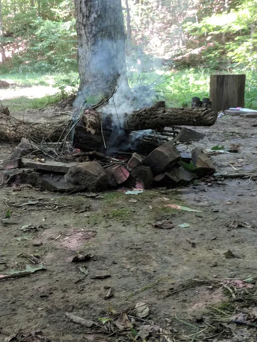 Shawnee Backpacking Camp 1 7