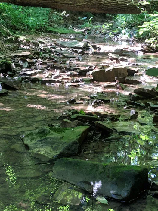 Shawnee Backpacking Camp 1 4