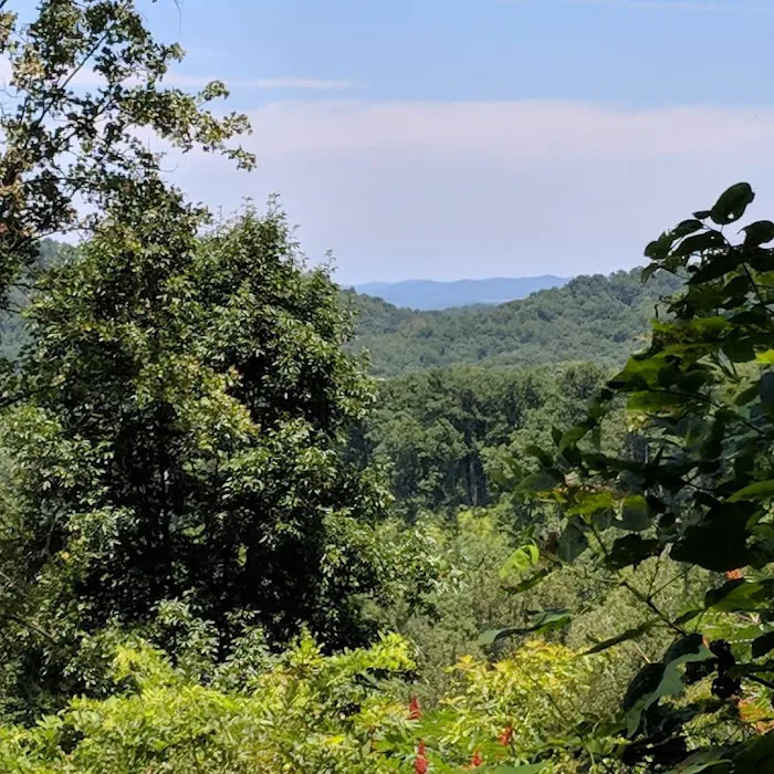 Shawnee Backpacking Camp 1 6