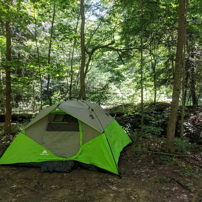 Shawnee Backpacking Camp 1 9