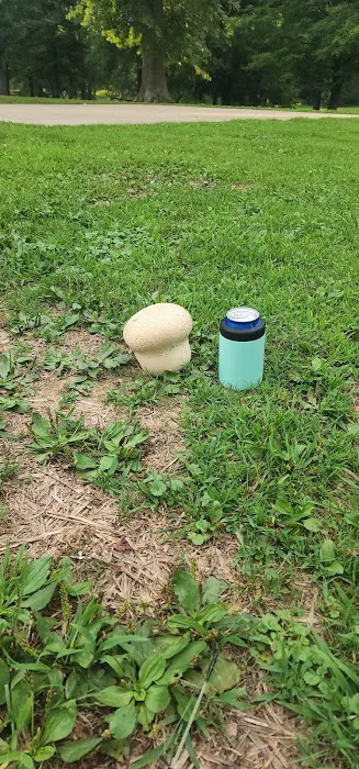 Shawnee State Park Campground 10
