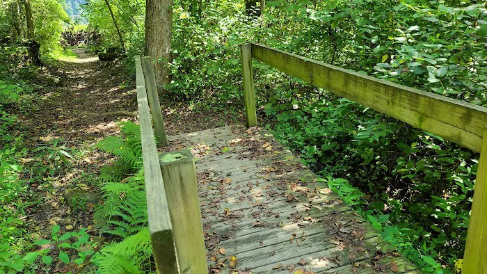 Shawnee State Park Campground 8