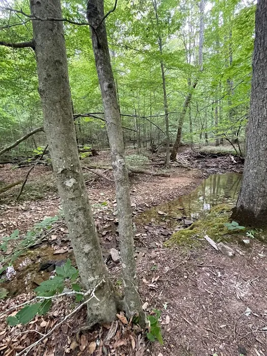Shawnee Forest Backpacking Trail Camp 4 2