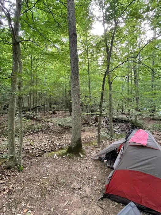 Shawnee Forest Backpacking Trail Camp 4 1