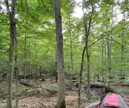 Shawnee Forest Backpacking Trail Camp 4