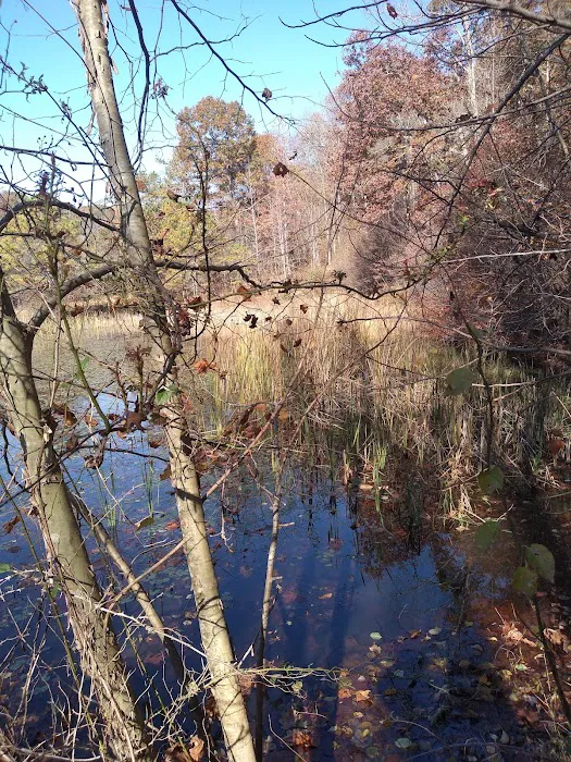 Shawnee Backpacking Camp 2 6