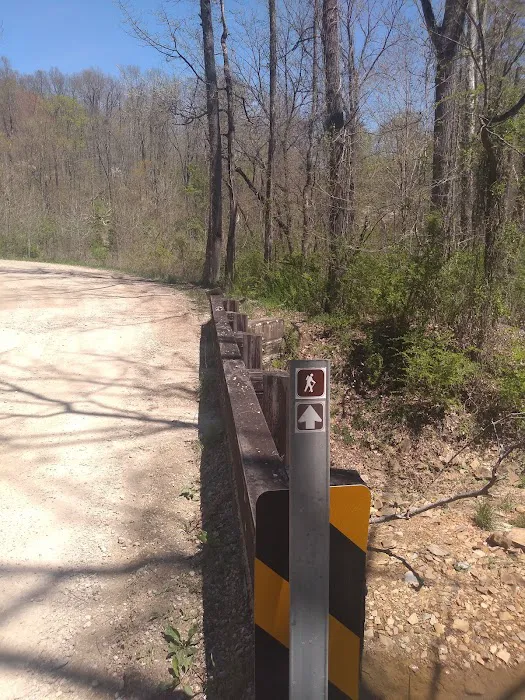 Shawnee Backpacking Camp 2 1