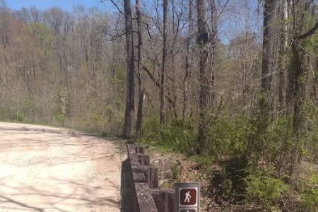 Shawnee Backpacking Camp 2