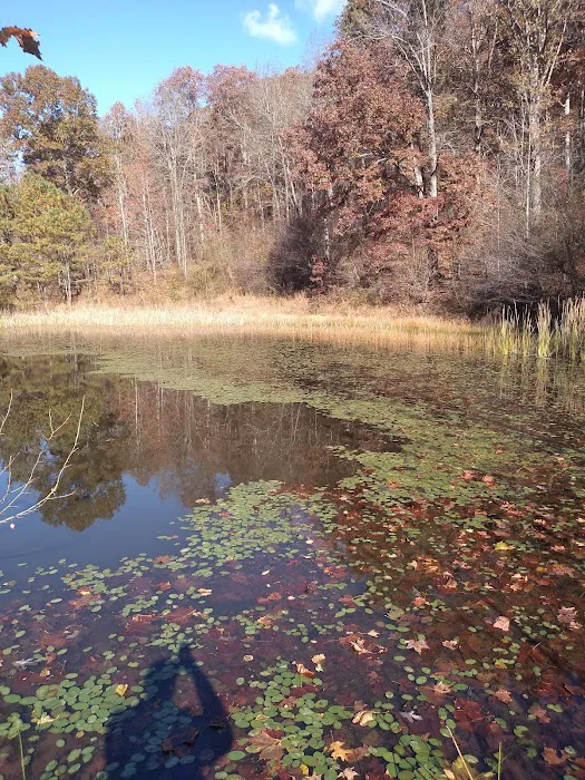 Shawnee Backpacking Camp 2 2