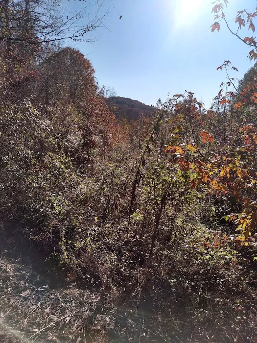 Shawnee Backpacking Camp 2 9