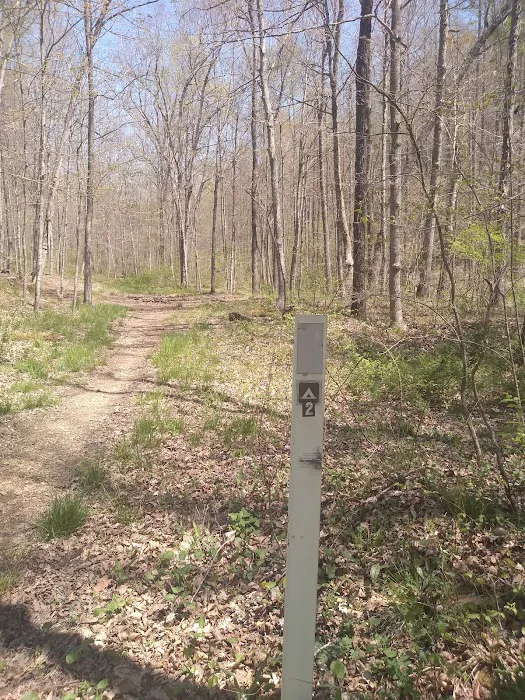 Shawnee Backpacking Camp 2 3